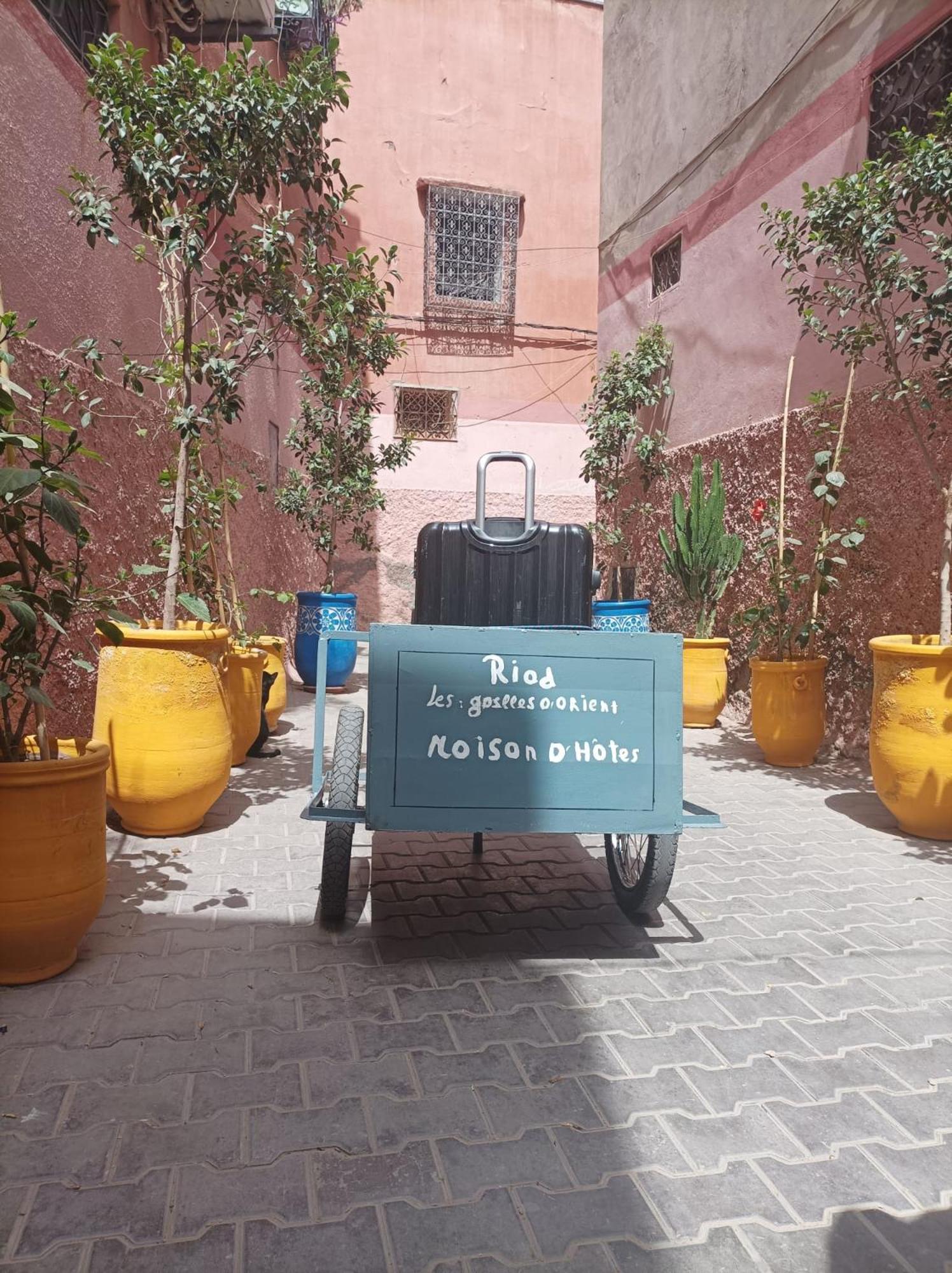 Les Gazelles D'orient Marrakech Riad Marrakesch
